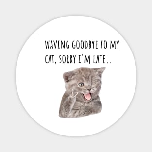 Funny Cat Indoors Magnet